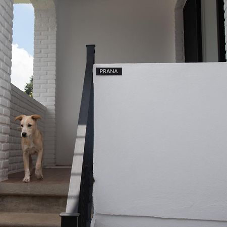 Casa Naamja Hotel Tepoztlan Luaran gambar